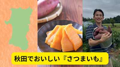 【秋田×さつまいも】甘さと旨味がギュッと詰まった『おいしさ』の理由