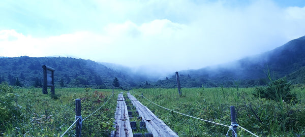 【アウトドア】初夏の栗駒山へ。緑の草原と雲の流れを楽しむ山歩き