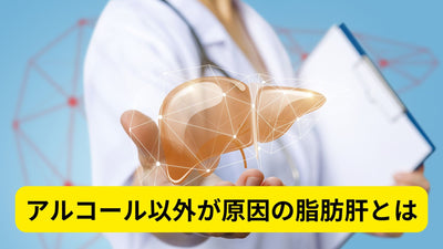 なぜ？アルコール以外の脂肪肝の原因と、知っておきたい現代人のリスク