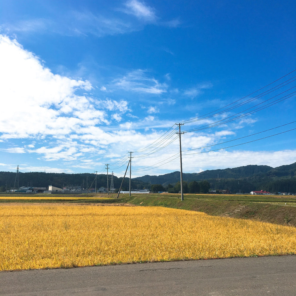 オンラインストア オープン！