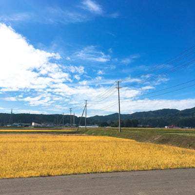 オンラインストア オープン！