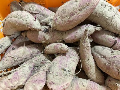 秋田県産 無添加 平干し芋