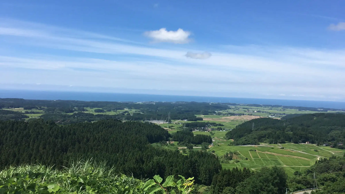 メインバナー